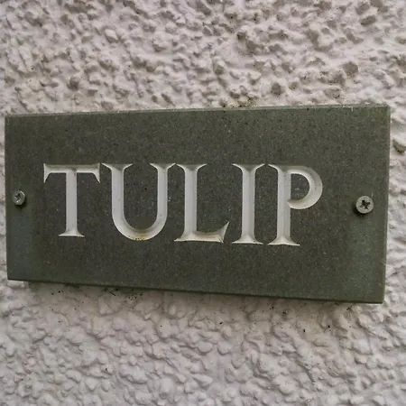 Feriehus Tulip *